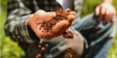 farmer with a palm full of dirt
